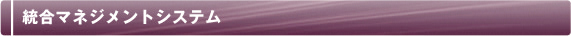 統合マネジメントシステム
